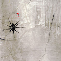 fotografia di maria elisa borsoi, muri