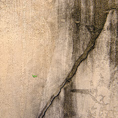 fotografia di maria elisa borsoi, muri