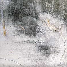 fotografia di maria elisa borsoi, muri