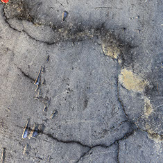 fotografia di maria elisa borsoi, muri